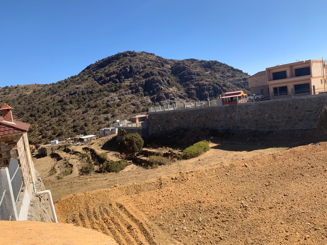 WhatsApp Image 2025-10-04 at 4.17.57 PM (2)